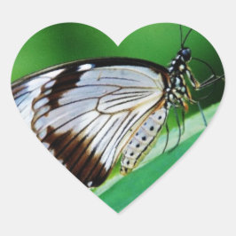 暗褐色と灰色の蝶 ハートシール