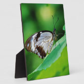 暗褐色と灰色の蝶 フォトプラーク (側面)