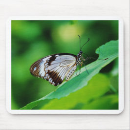 暗褐色と灰色の蝶 マウスパッド