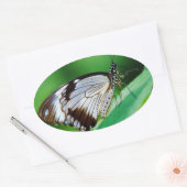 暗褐色と灰色の蝶 楕円形シール (封筒)