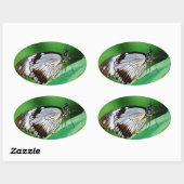 暗褐色と灰色の蝶 楕円形シール (シート)