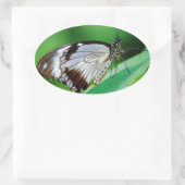 暗褐色と灰色の蝶 楕円形シール (バッグ)