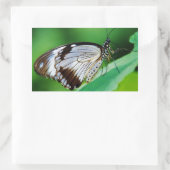 暗褐色と灰色の蝶 長方形シール (バッグ)