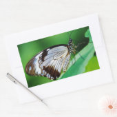 暗褐色と灰色の蝶 長方形シール (封筒)