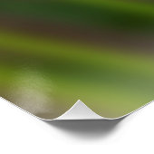 暗赤色フリジア ポスター (コーナー)