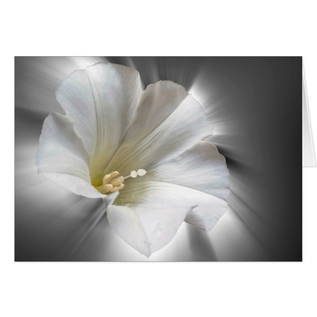 暗輝く中で (正面横)