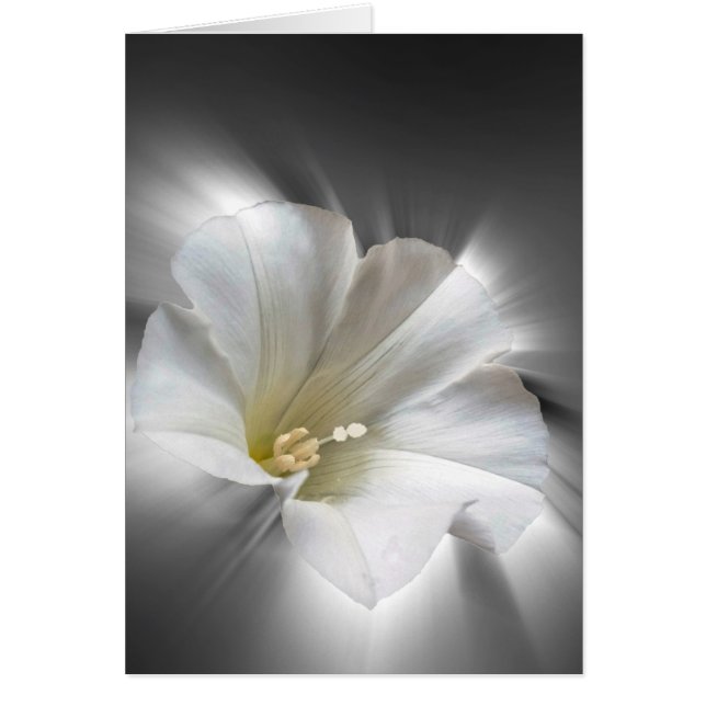 暗輝く中で (正面)