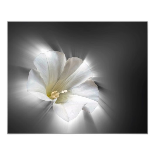 暗輝く中で フォトプリント            (正面)