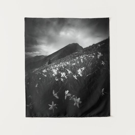 暗闇に白い水仙の花 タペストリー (正面)