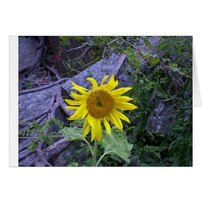 暗闇のライト (正面横)