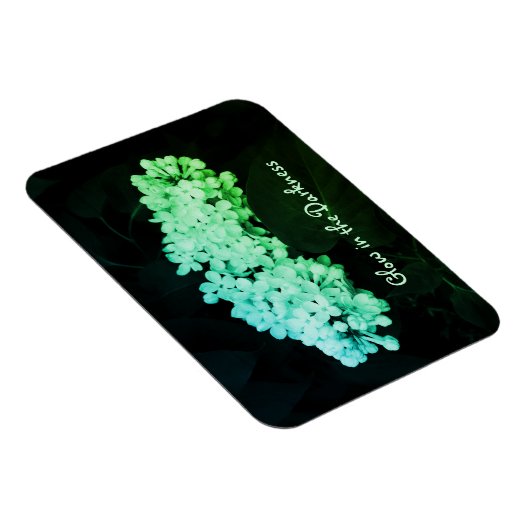 暗闇の中で輝く緑のライラックの変更された写真 マグネット (右側)