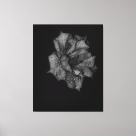 暗闇の中で露にキスされた花びら キャンバスプリント