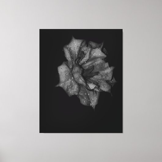 暗闇の中で露にキスされた花びら キャンバスプリント (正面)