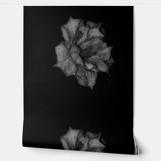 暗闇の中で露にキスされた花びら 壁紙 (ほどく)