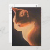 暗闇の中の猫 ポストカード (正面/裏面)