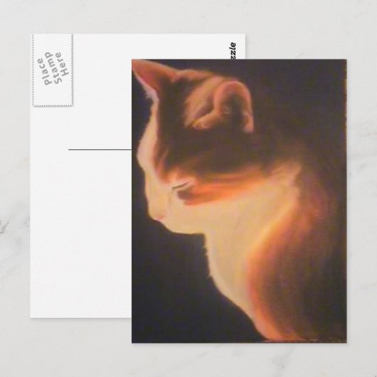 暗闇の中の猫 ポストカード (正面/裏面)