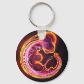 暗闇白熱［赤熱］光を放つ中の蛍光胚 キーホルダー (裏面)