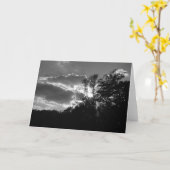 暗雲 カード (黄色い花)