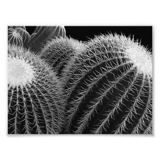 暗黒の砂漠。 フォトプリント            (正面)