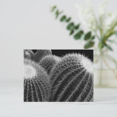 暗黒の砂漠。 ポストカード (スタンド正面)