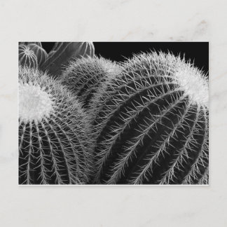 暗黒の砂漠。 ポストカード