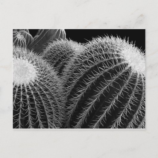 暗黒の砂漠。 ポストカード (正面)