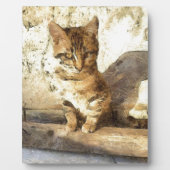 暗黒鉛筆のスケッチに猫は全て黒い フォトプラーク (正面)