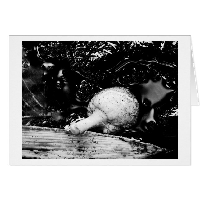 暗黒防具 (正面横)