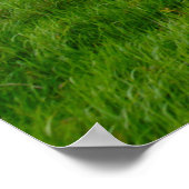 暴走族の放置された農業用の重いローラー ポスター (角)