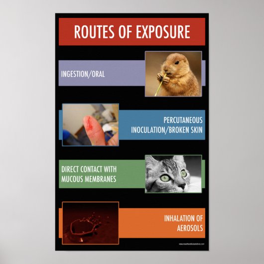 暴露安全情報ポスターのルート ポスター (正面)