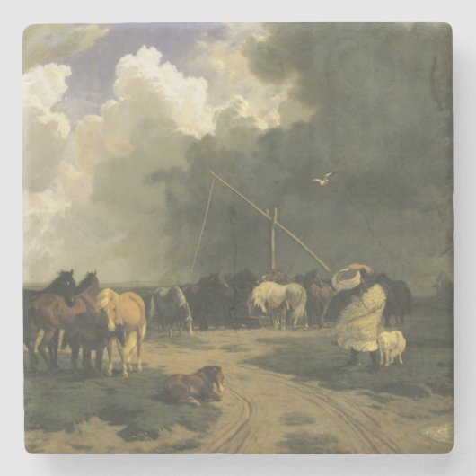 暴風雨のウマ科の馬 ストーンコースター (正面)