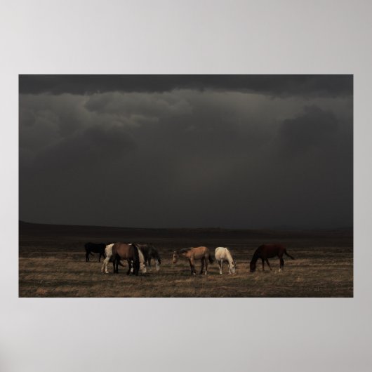 暴風雨のライダー ポスター (正面)