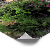 暴風雨の後 – プリント (角)