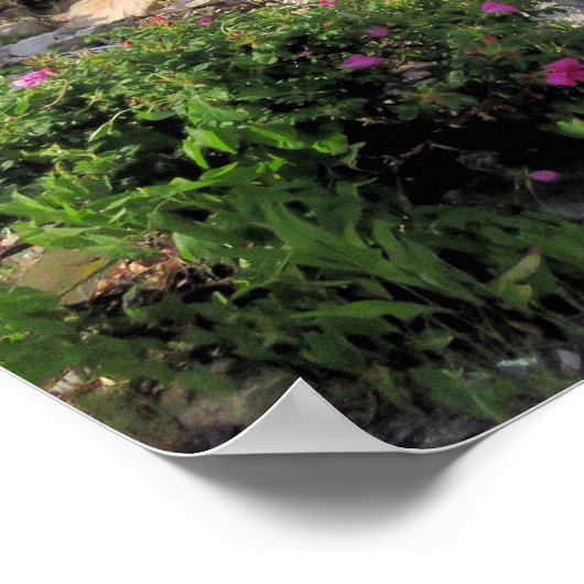 暴風雨の後 – プリント (角)