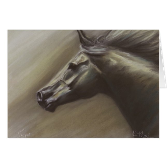 暴風雨 (正面横)