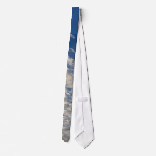 曇た空 ネクタイ (裏面)