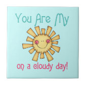 曇った日の日光 タイル (正面)