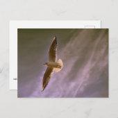 曇った背景で空を飛ぶ ポストカード (正面/裏面)