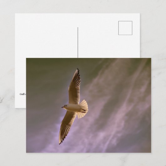 曇った背景で空を飛ぶ ポストカード (正面/裏面)
