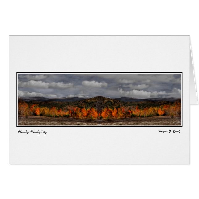 曇った、曇った日 (正面横)