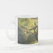 曇らされたガラスのマグ生命の樹 フロストグラスマグカップ (左)