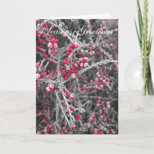 曇らされた果実のクリスマスカード シーズンカード (正面)