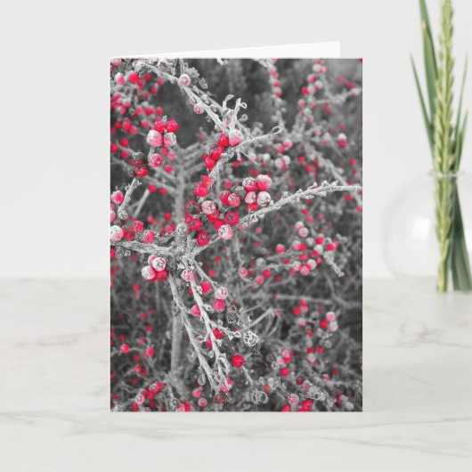 曇らされた果実カード シーズンカード (正面)