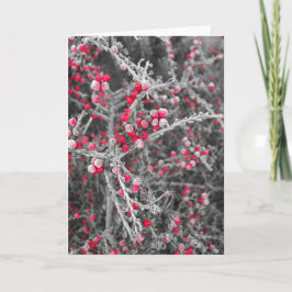 曇らされた果実カード シーズンカード