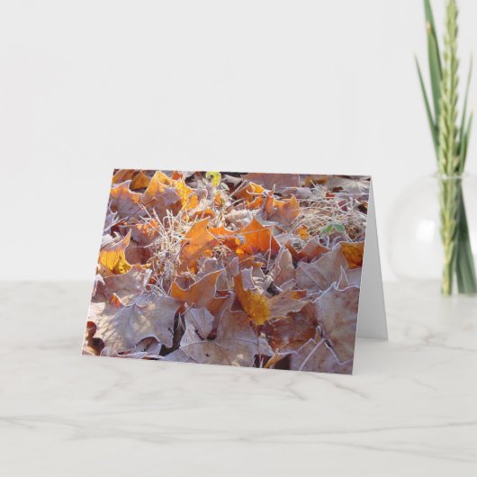 曇らされた葉の休日の挨拶状 シーズンカード (正面)