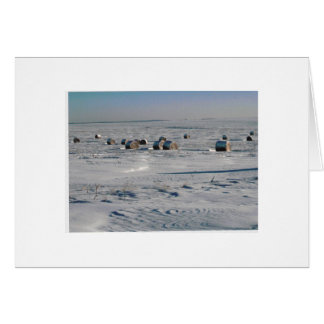 曇らされた薄片