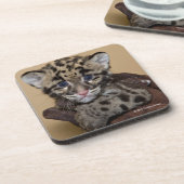 曇らせていたヒョウカブス コースター (左側)