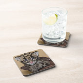 曇らせていたヒョウカブス コースター (右側)