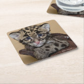 曇らせていたヒョウカブス スクエアペーパーコースター (アングル)