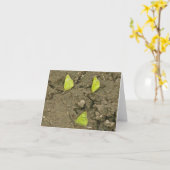 曇りのある硫黄蝶類泥まみれノートカード カード (黄色い花)